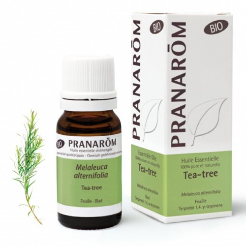 Huile essentielle de Tea-Tree (arbre à thé) Pranarôm - 10 ml