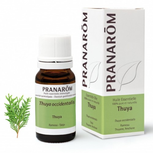 Huile essentielle de Thuya Pranarôm - 10 ml