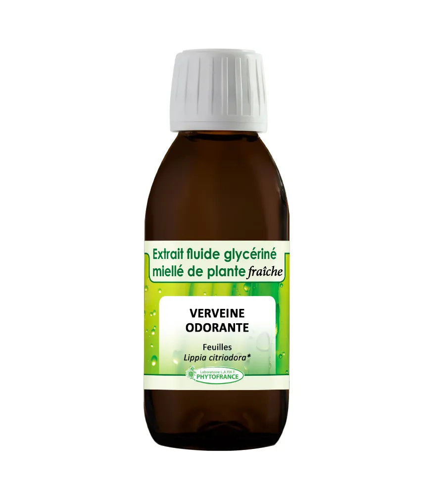 Verveine Odorante – Extrait Glycériné BIO 150 ML
