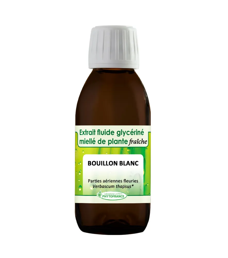 Bouillon Blanc – Extrait Glycériné BIO 150 ML