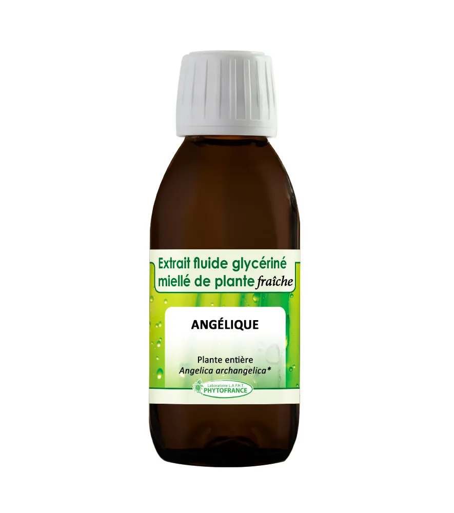 Angélique – Extrait Glycériné BIO 150 ML
