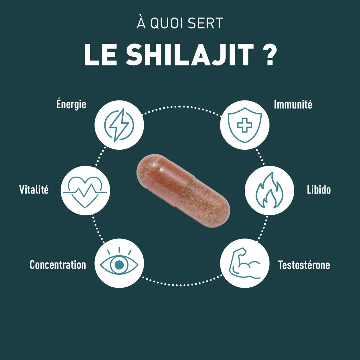 SHILAJIT 1000 MG 60 GÉLULES