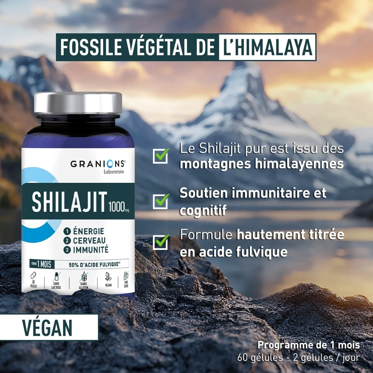 SHILAJIT 1000 MG 60 GÉLULES