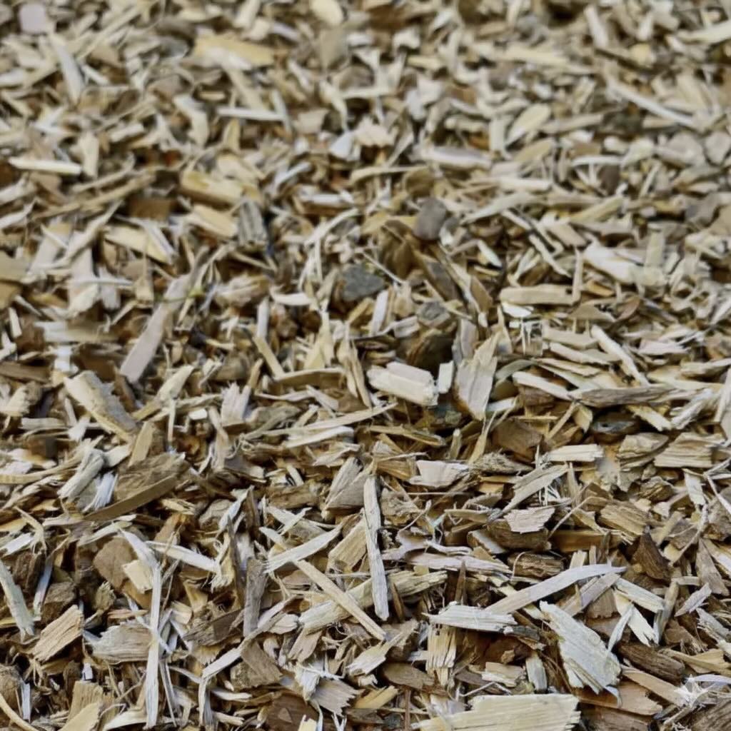 Saule blanc feuille (100g) - Tisane Articulations & Confort Articulaire