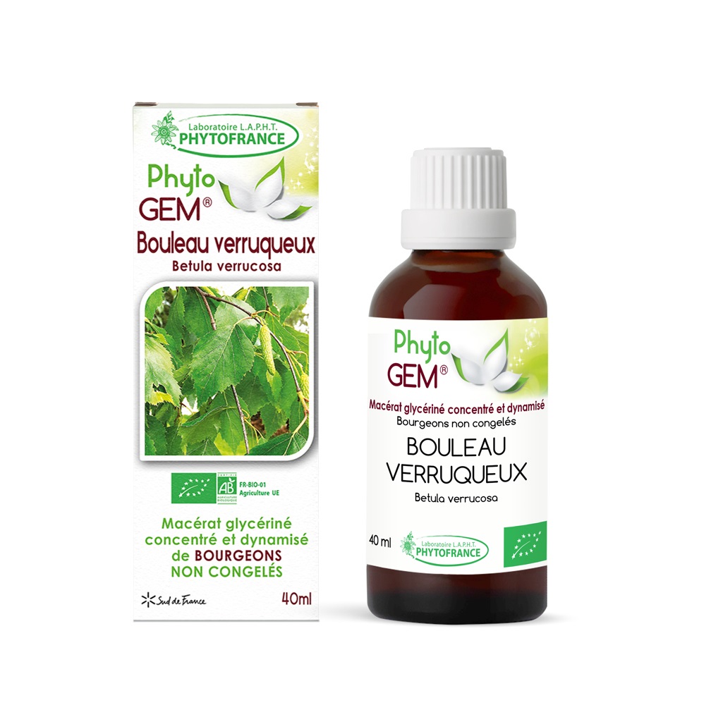 Bourgeons de Bouleau Verruqueux Bio Phyto\'gem