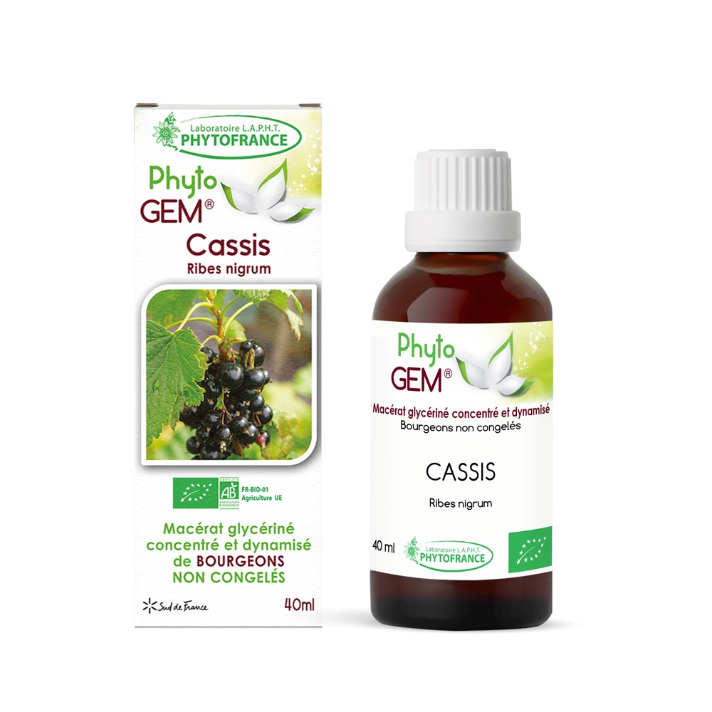 Bourgeons de Cassis Bio Phyto\'gem