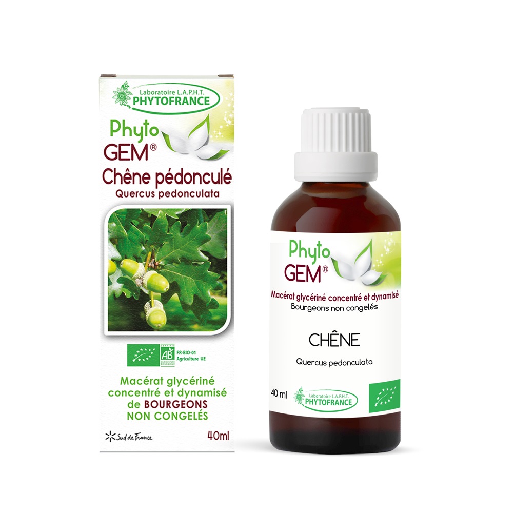 Bourgeons de Chêne pédonculé Bio Phyto\'gem