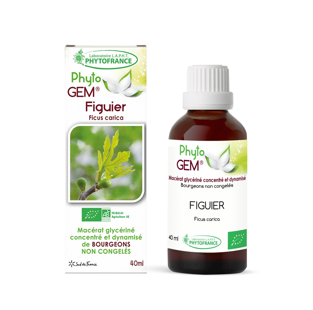 Bourgeons de Figuier Bio Phyto\'gem