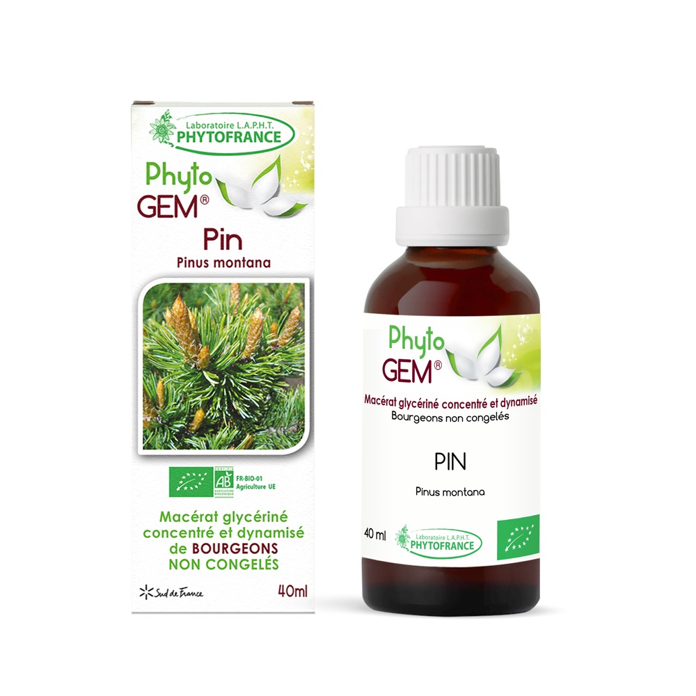 Bourgeons de Pin des montagnes Bio Phyto\'gem