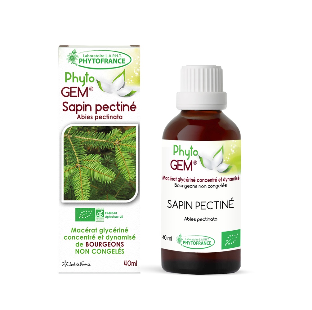 Bourgeons de Sapin pectiné Bio Phyto\'gem