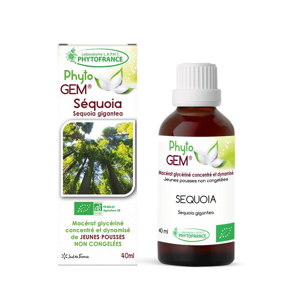 Bourgeons de Séquoïa Bio Phyto\'gem