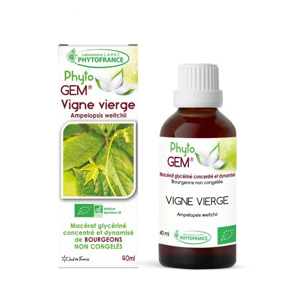 Bourgeons de Vigne vierge Bio Phyto\'gem