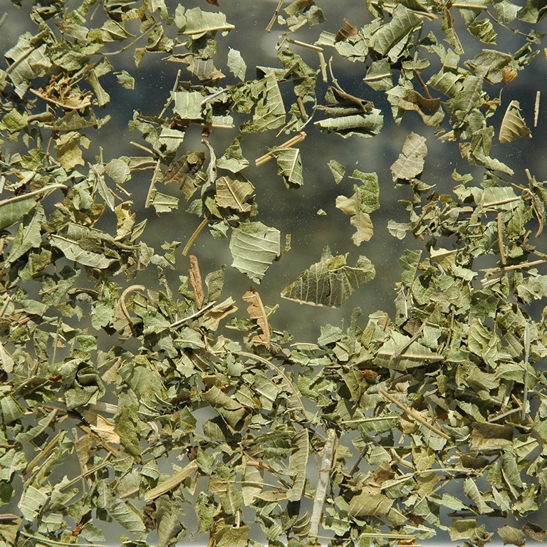 Verveine odorante feuille (50g)