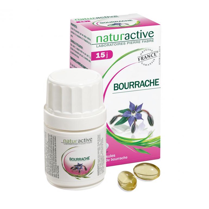 Bourrache (bt 30)