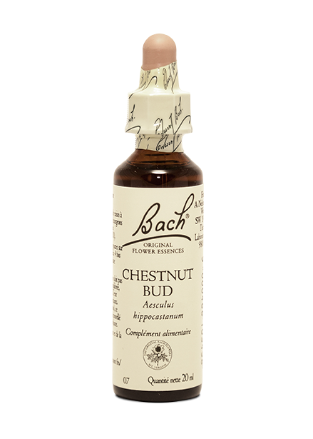 Fleur de Bach  Chestnut Bud (20ml)