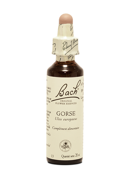 Fleur de Bach  Gorse (20ml)
