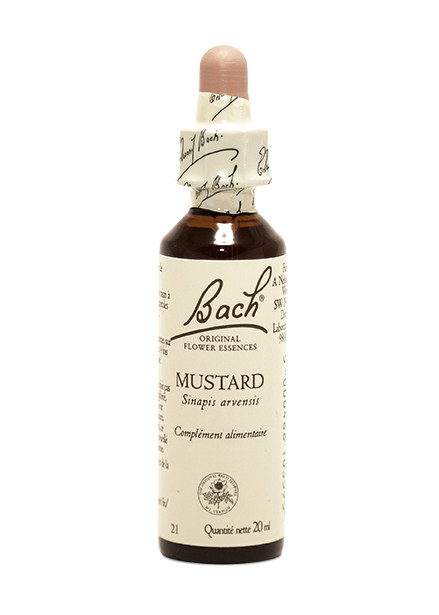 Fleur de Bach  Mustard (20ml)