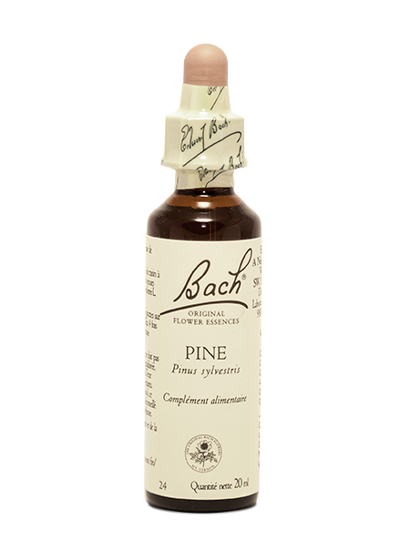 Fleur de Bach  Pine (20ml)