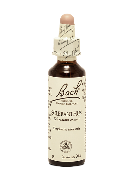 Fleur de Bach  Scleranthus (20ml)