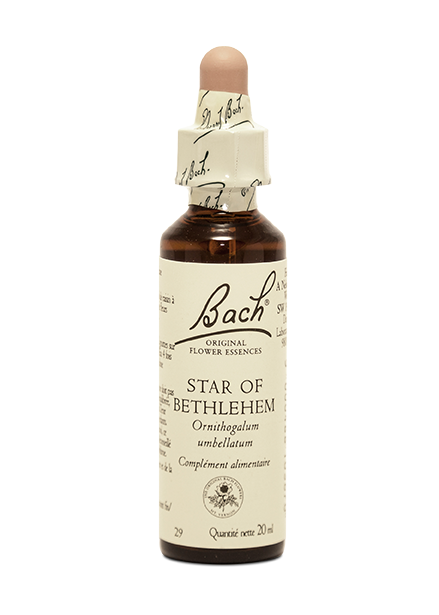 Fleur de Bach  Star of Bethlehem (20ml)