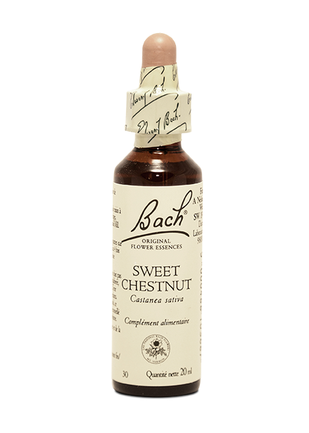 Fleur de Bach  Sweet Chesnut (20ml)