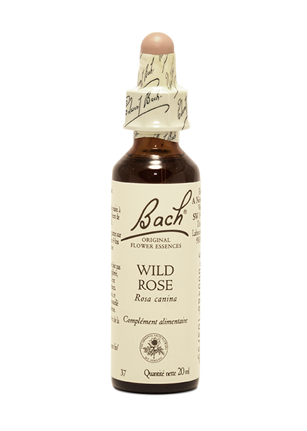 Fleur de Bach  Wild Rose (20ml)