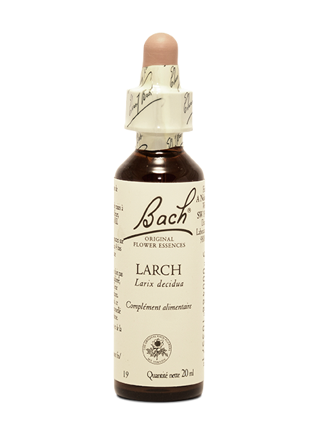 Larch (20ml)