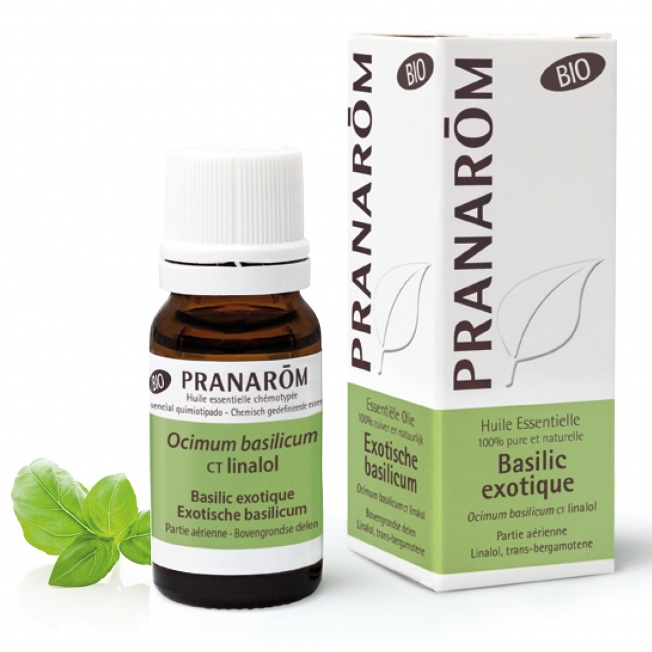 BASILIC EXOTIQUE - CT linalol (10ml)