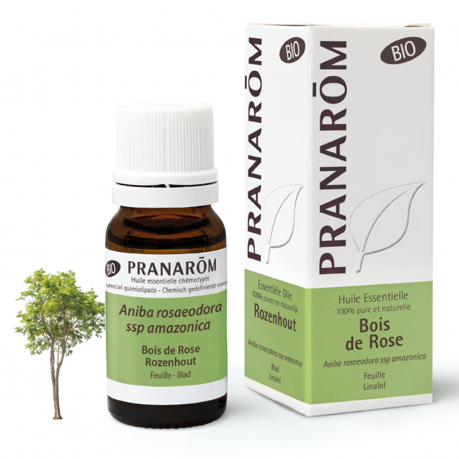 BOIS DE ROSE - (10ml)