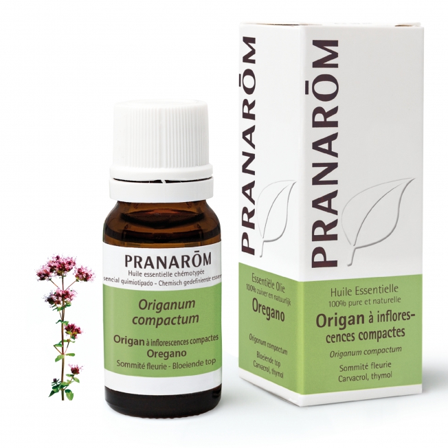 ORIGAN À INFLORESCENCES COMPACTES - (10ml)