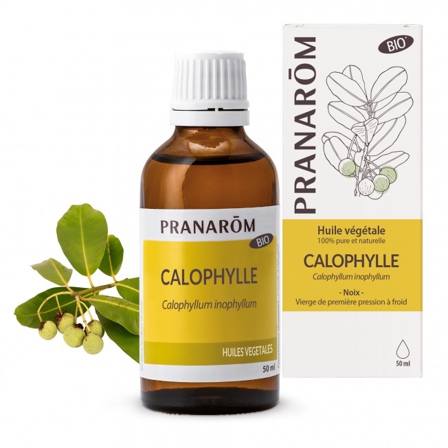 Huile végétale de calophylle bio Pranarôm - 50 ml