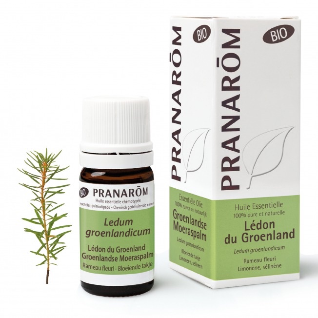 Lédon du Groenland (Thé du Labrador) Pranarôm - Huile essentielle - 5 ml
