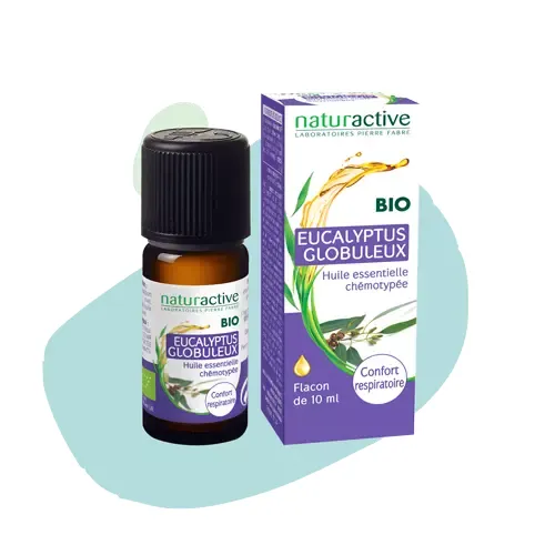 Eucalyptus globuleux Bio Naturactive®