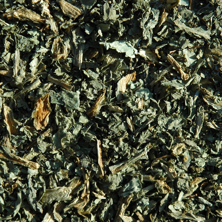Chicorée feuille (100g)